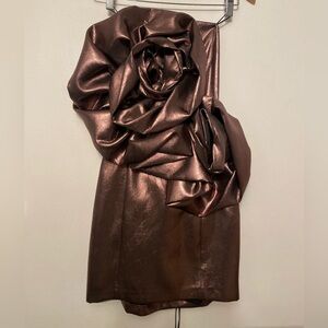 Zara Metallic Brown Dress